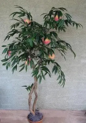 64 inch Artificial Silk Peach Tree w Peaches Made on Natural Wood
