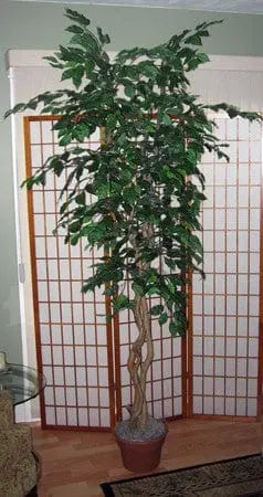 7 Foot Artificial Silk Fig Tree Made on Natural Wood w Green Leaves