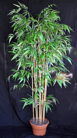 Artificial Silk Bamboo Palm Tree