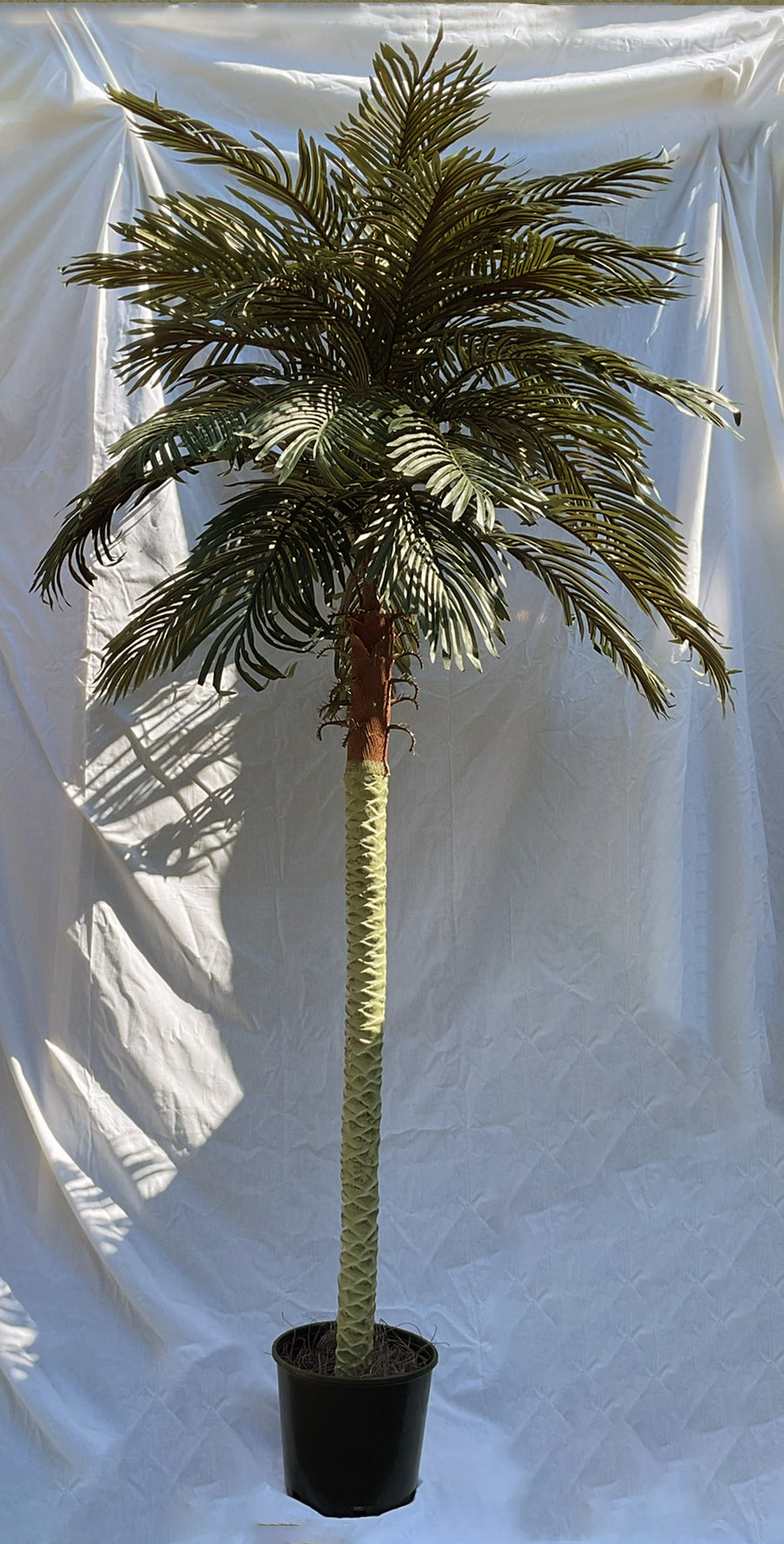 8 Foot Artificial Silk Phoenix Palm Tree for Indoor and Outdoor Silk Plants Canada