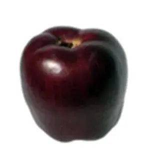 Artificial Apple Delicious Red Artificial Fruit