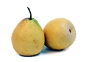 Artificial Pear Fruit in Yellow
