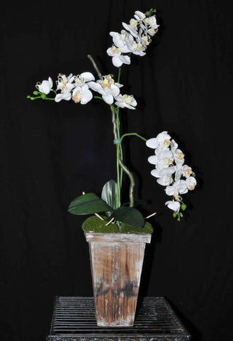 Artificial Silk Phalaenopsis Orchid