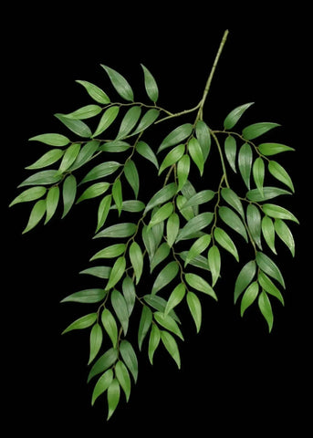 Artificial Silk Ruscus Branch