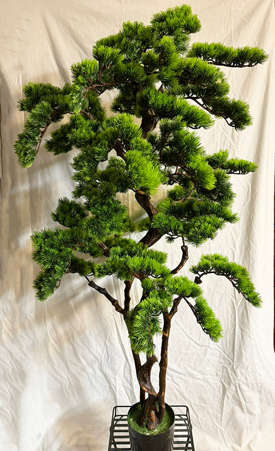 57 inch Artificial PVC Bonsai Pine in Black Container Front SilkPlantsCanada