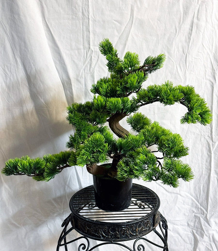21 inch Artificial PVC Bonsai Pine in Black Container SilkPlantsCanada