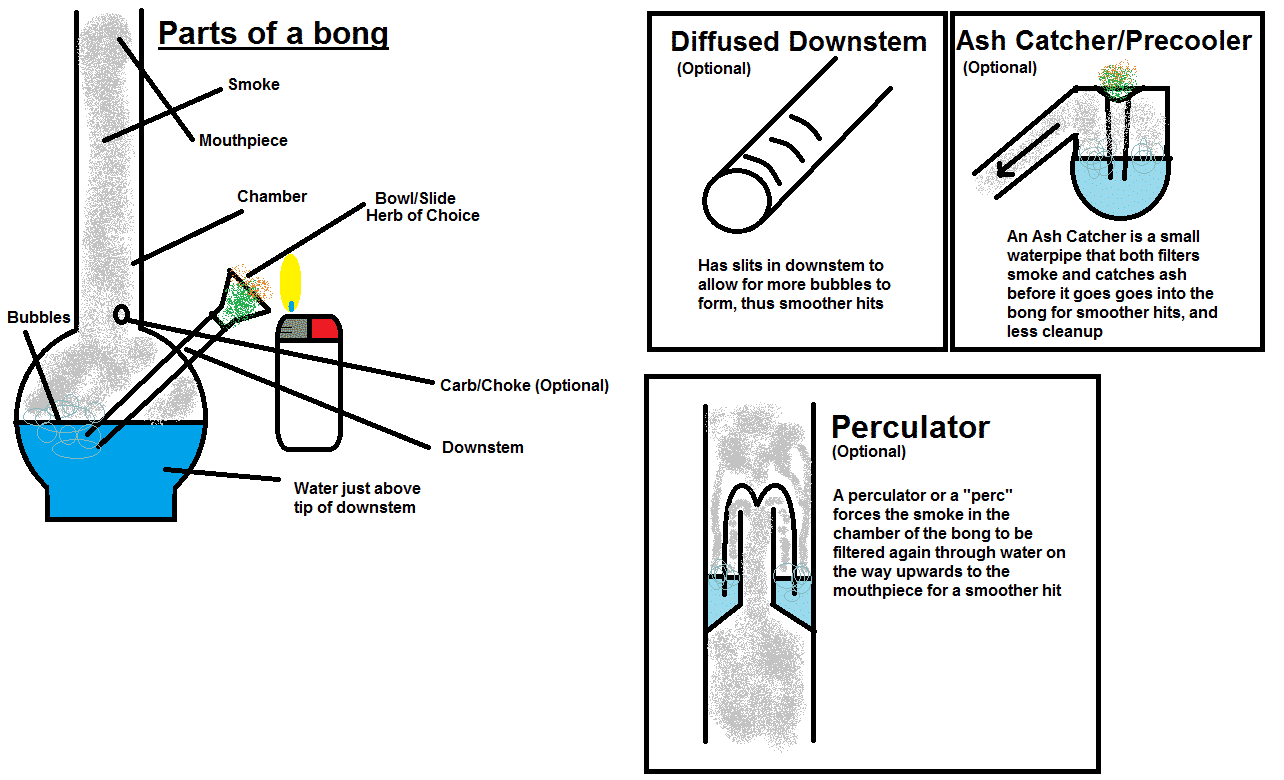 Bong Parts: The Anatomy of your Glass