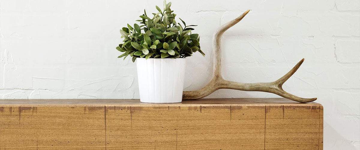 Shop Dogberry's Full Collection of Wood Mantels