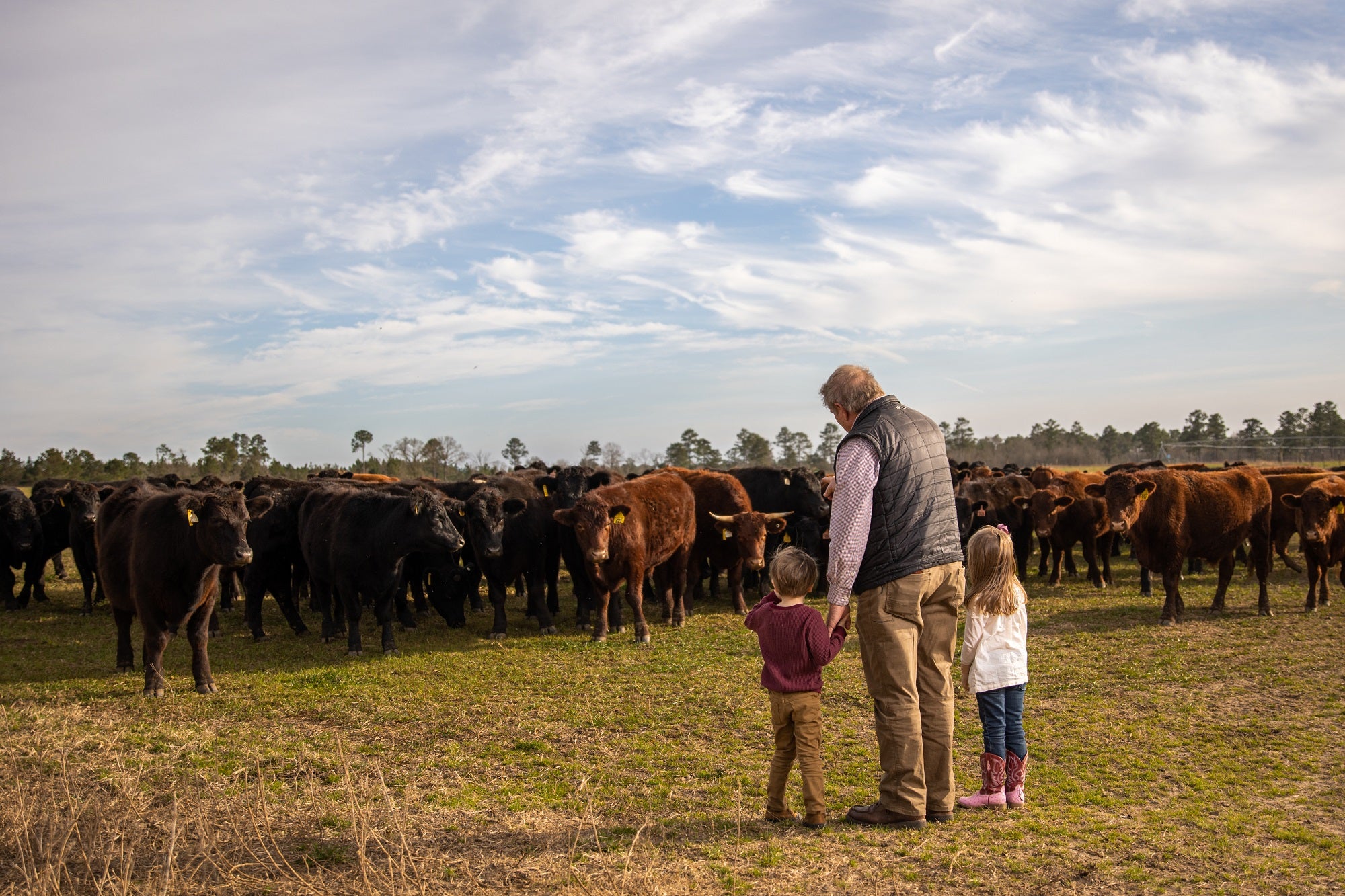 The Kelly Family at Rock House Farm