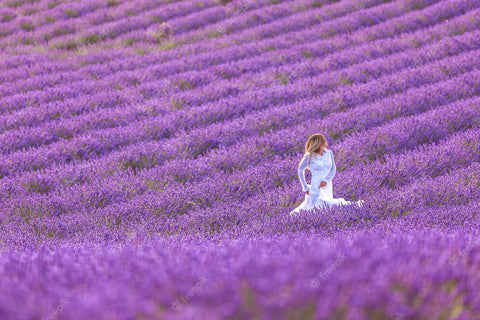 Lavender Field (Image by Freepik)