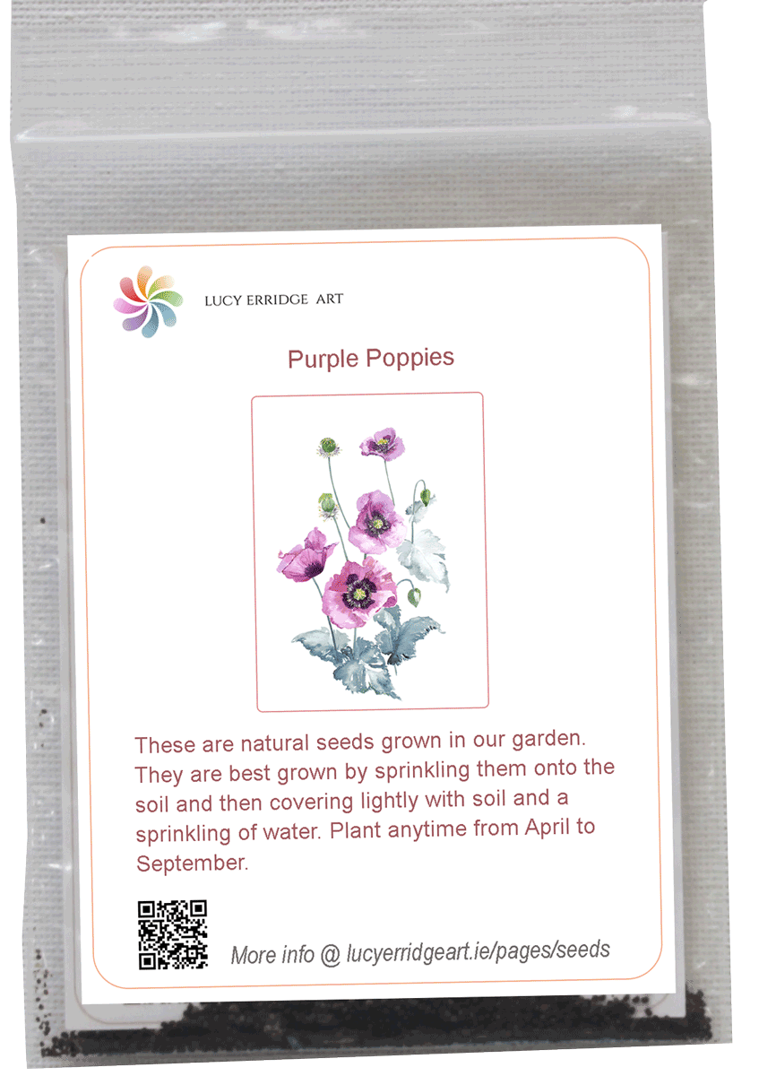 Purple Poppy Seeds