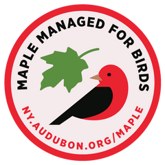 Maple Managed for Birds