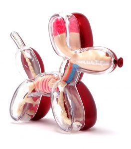 Baby-Metallic-Balloon-Dog-Red-Funny-Anatomie