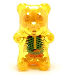 Clear-Yellow-Gummi-Bear-Funny-Anatomy