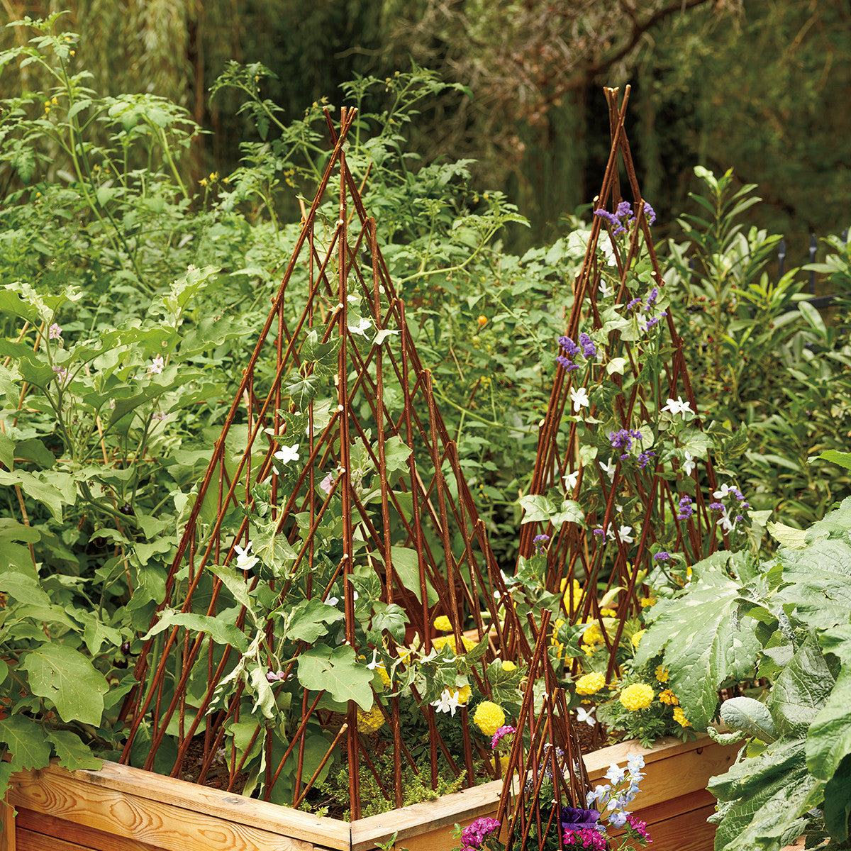 Willow Garden Pyramid Trellis