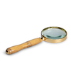 Tulip Poplar Magnifying Glass