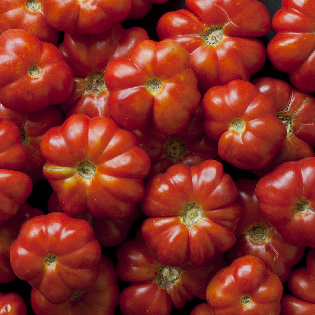 PlantFiles Pictures: Tomato 'Brandywine (Sudduth Strain)' (<i>Lycopersicon  lycopersicum</i>) by blameitonkarma