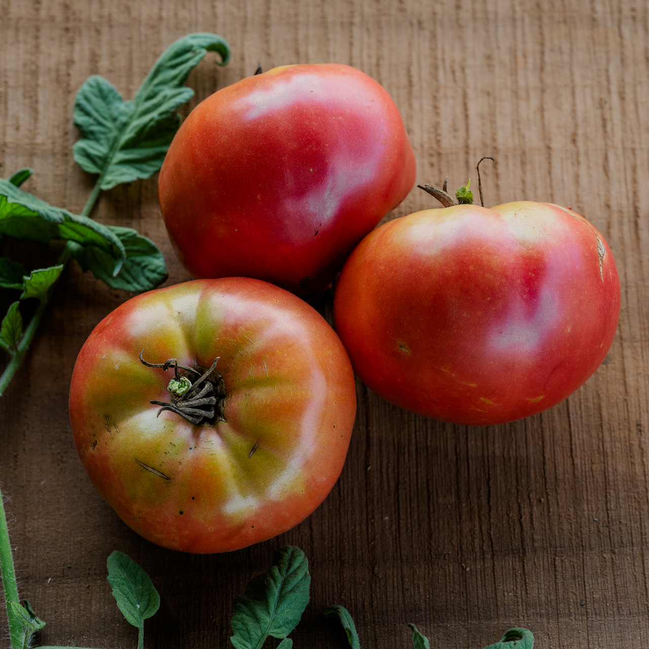 German Johnson Tomato Seeds (Solanum lycopersicum cv.)