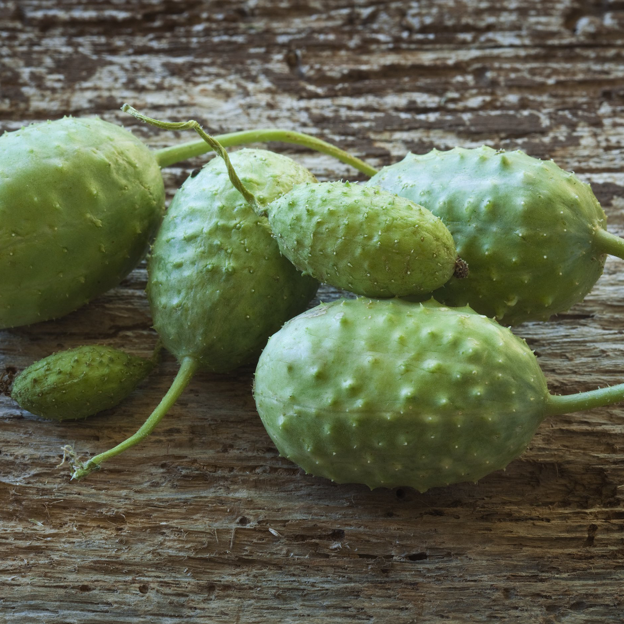 West Indian Gherkin Seeds (Cucumis anguria)