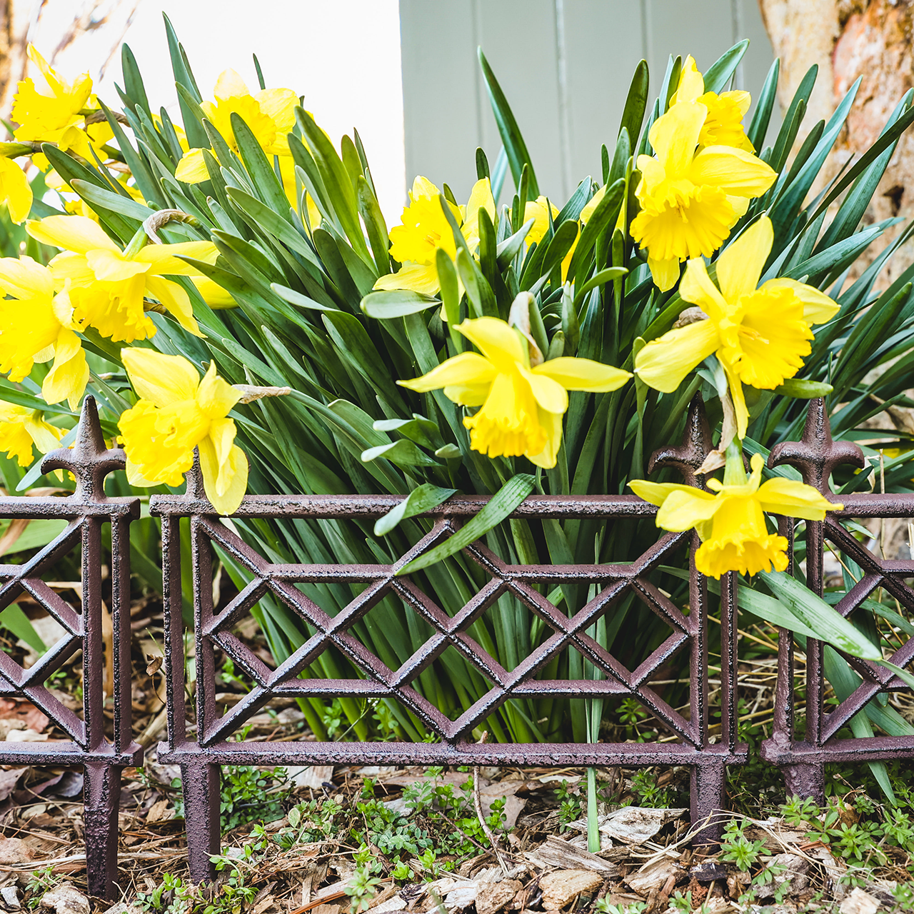 Monticello Chippendale Cast Iron Garden Fence