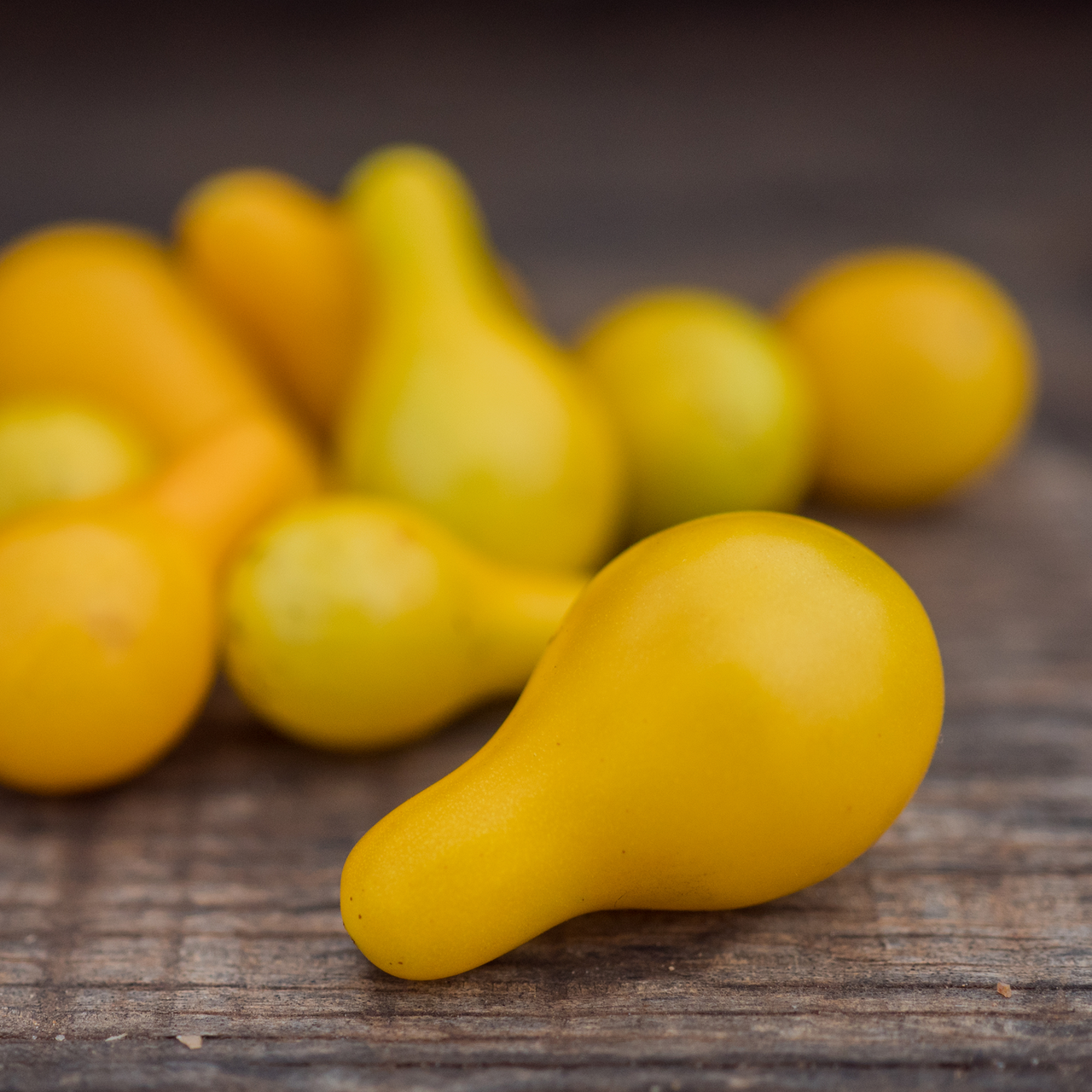 Yellow Pear Tomato Seeds (Solanum lycopersicum cv.)