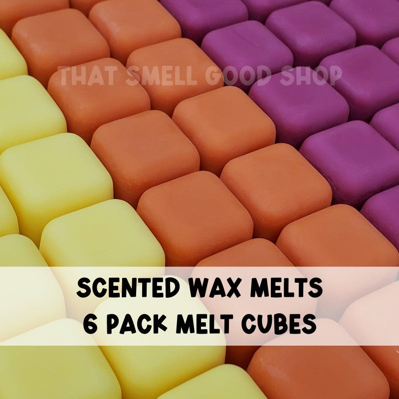 Handmade Scented Wax Melts 6-pack # - D – TSGS