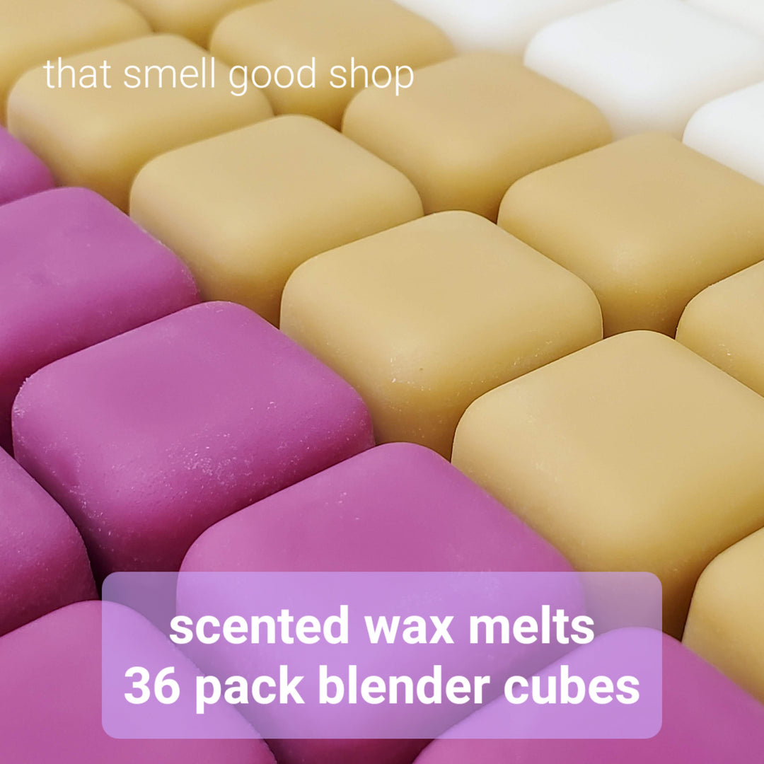 Blueberry Bliss Soy Wax Blend Scented Wax Melts | Strong Wax Tart Melts |  Long Lasting Wax Melts | Wax Cubes for Warmer | Gift Ideas