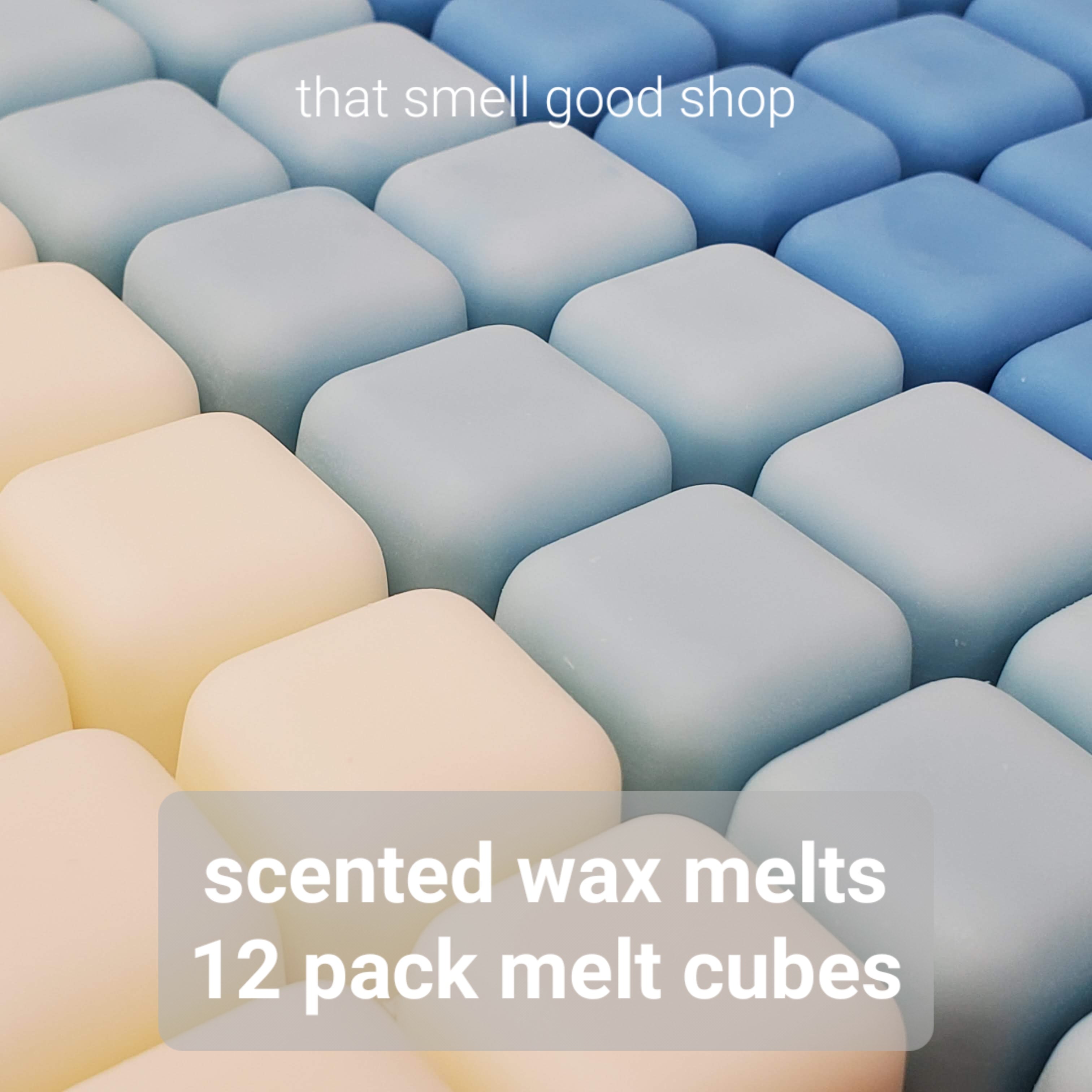 Winyuyby 12 Pack Scented Wax Melts Wax Square, Scented Wax Melts