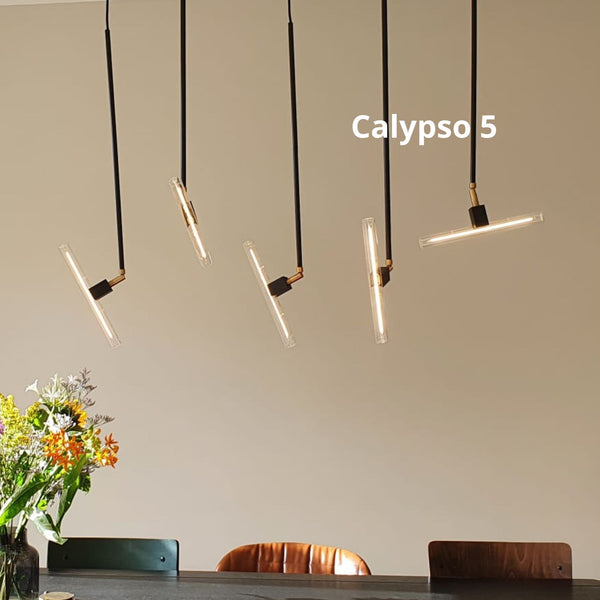 Goedkeuring Whirlpool Overzicht Calypso hanglamp - hanglamp met 5 pendels op maat - zelf samenstellen