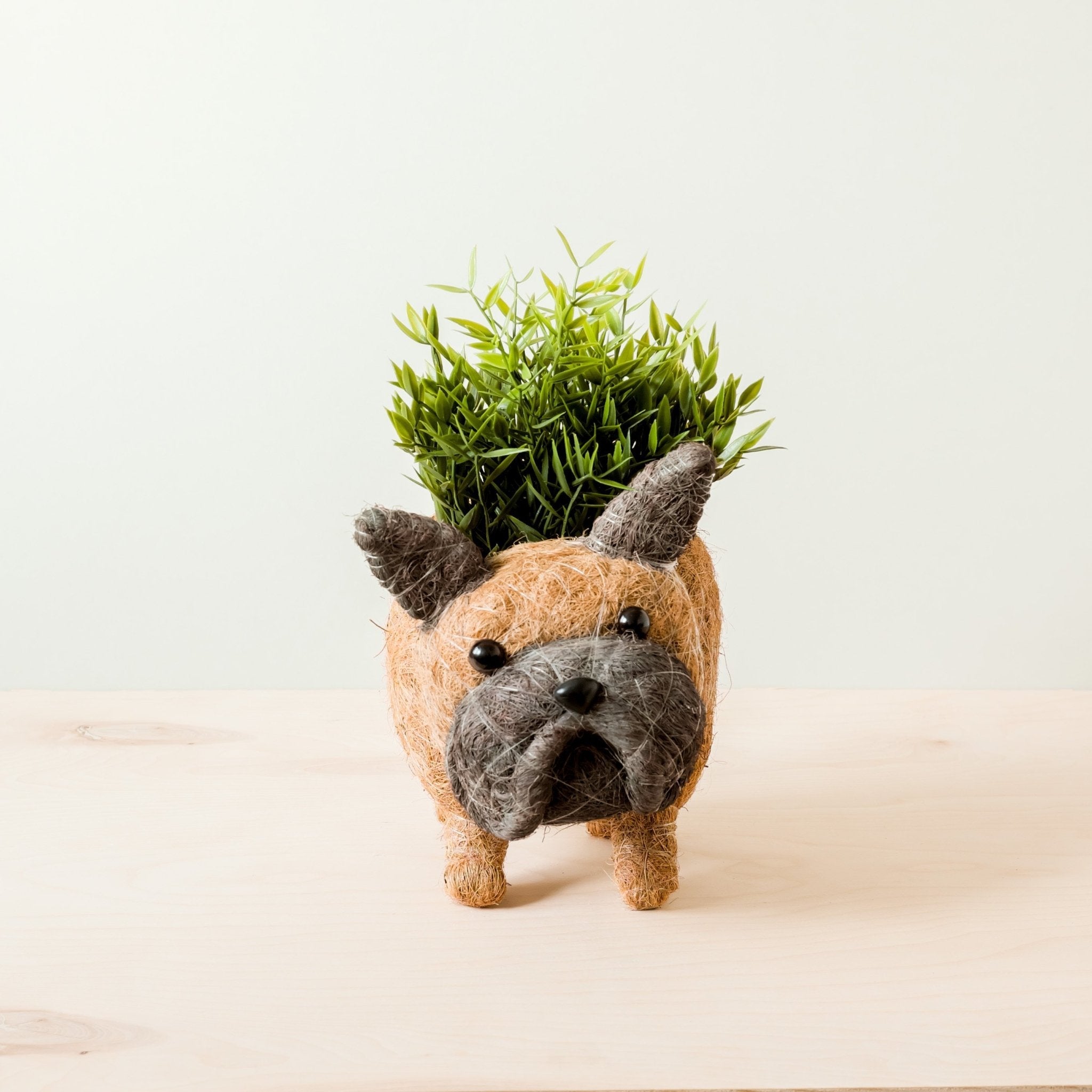 Image of French Bulldog Planter