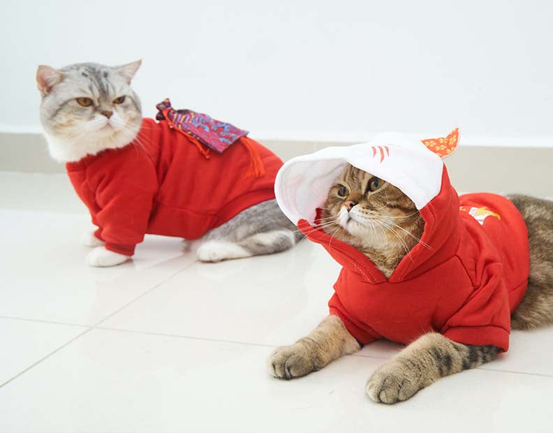 Cat Outfits and Accessories collection:  A picture of two cats wearing red cat sweaters