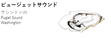 ピュージェットサウンド × オリーブオイル+岩塩