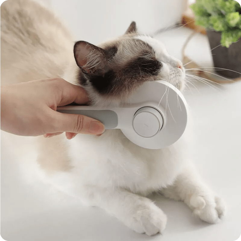 Brosse Anti Poils Autonettoyante Pour Chiens Et Chats Pompon