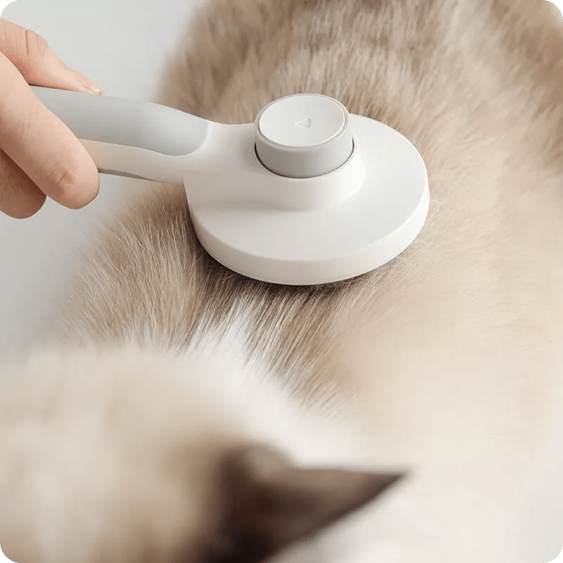 Brosse Anti Poils Autonettoyante Pour Chiens Et Chats Pompon