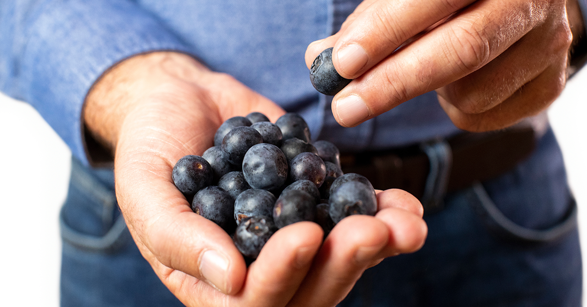 Blueberries - Foods for Skin Health and Protection 