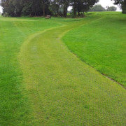 Rite Pave - Golf Course Buggy Path