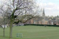 Whitgift-School-Cricket-squ.jpg