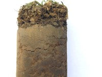 soil sample DMBC.jpg