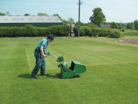 dlf-mowing-the-grass-plots.jpg