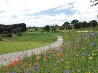 Hertzenhof Wildflowers