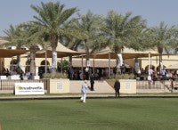 terrace&clubhouse.jpg