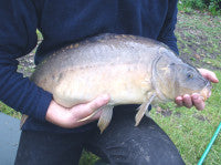 Andy's 18lb mirror carp