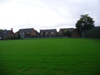 Tennis courts grass establishing
