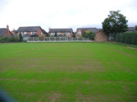 Tennis courts seed germinating1