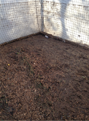 Close up of debris on playing carpet