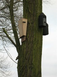 Bat Boxes on Tree.JPG