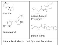 DerivativesChart