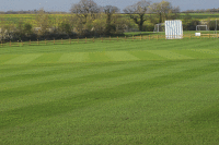 Beversbrook CricketSquare