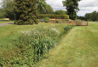 FulfordHeath Ditch