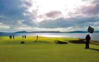 CastleStuart Crabbies